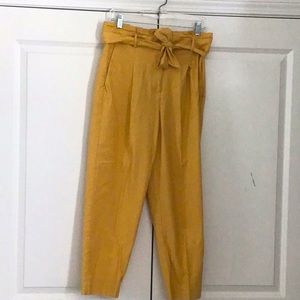 Ann Taylor ankle length pants